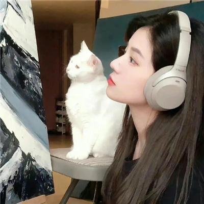 关于灰鸽子的歌