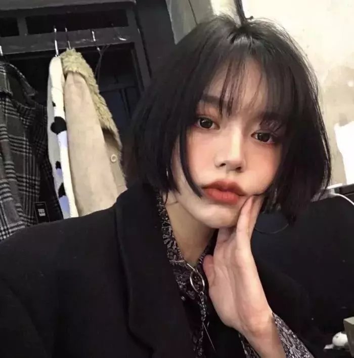 白骆驼